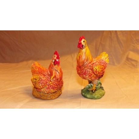 Coppia galline