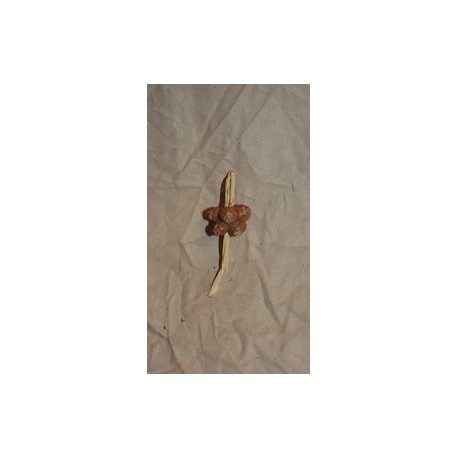 Treccia cipolla