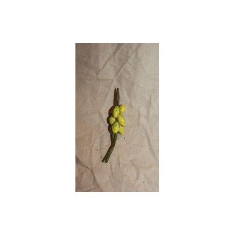 Treccia limoni