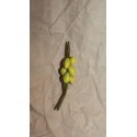 Treccia limoni