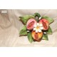 Bomboniera pesche art. GD89