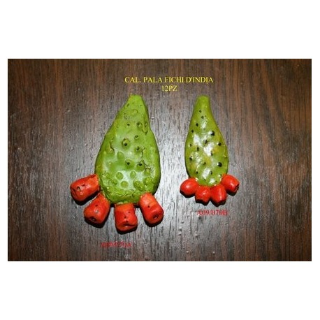 Paletta fichi d'india
