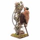 raccoglitore su albero di arance cm12