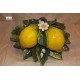 Coppia limoni art. GD38