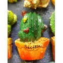 CALAMITA CACTUS MODELLO 3