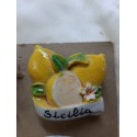CALAMITA LIMONI MODELLO 4