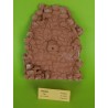 FACCIATA FONTANA IN TERRACOTTA