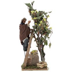 uomo su scala con albero