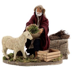 pastore con pecora in movimento