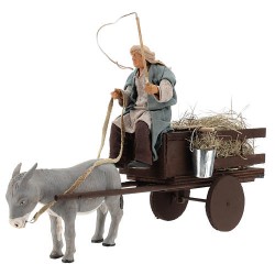 pastore con asino e carro in movimento
