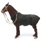 cavallo in movimento