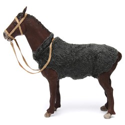 cavallo in movimento