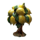 albero di limoni