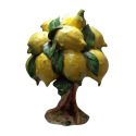 albero di limoni