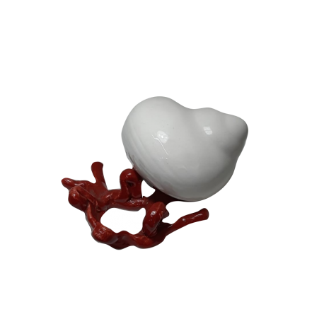 corallo con conchiglia