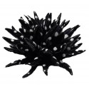 riccio di mare con decoro in nero