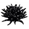 riccio di mare con decoro in nero