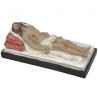 Cristo morto sul letto