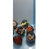 SET DA 5 CESTA ASSORTITE BCM 5X4  PREZZO PROMO