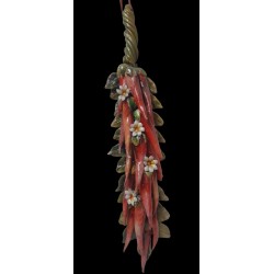 TRECCIA PEPERONCINO CON FIORI CM36