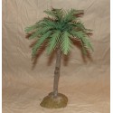 Palma singola cm 8x30h